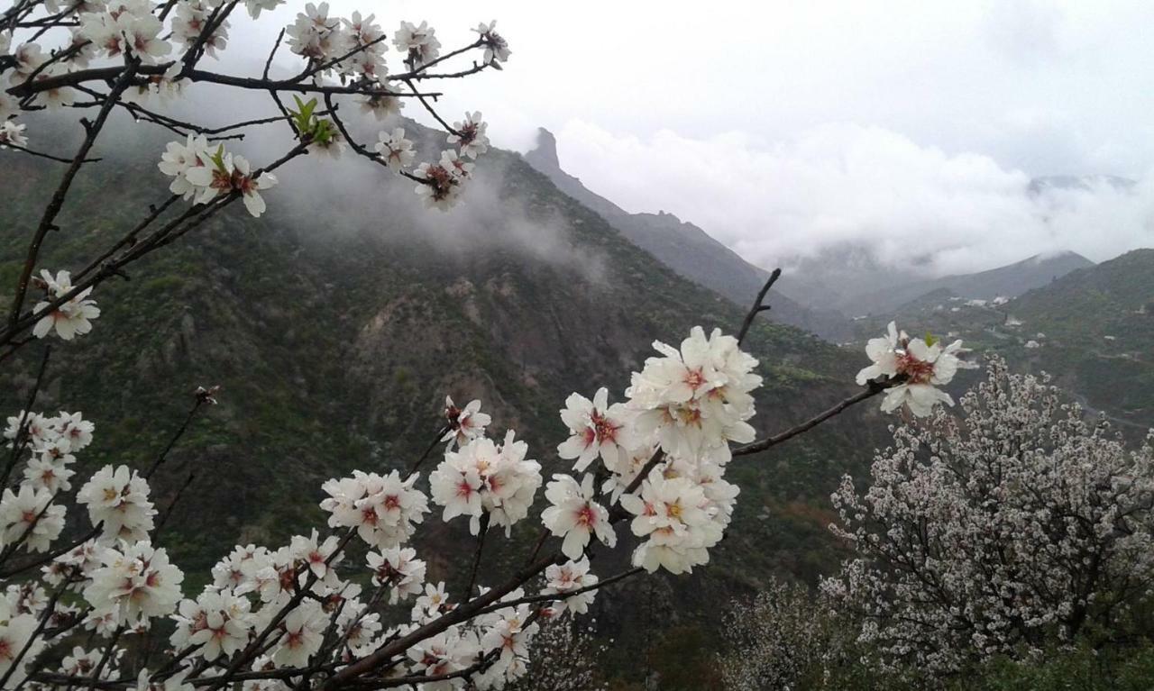 Villa El Fraile Tejeda  Esterno foto